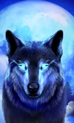 Dark Wolf