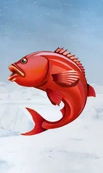 Ice Fishing